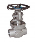 FORGED STAINLESS STEEL GATE VALVE 800 LBS SW - REF 152